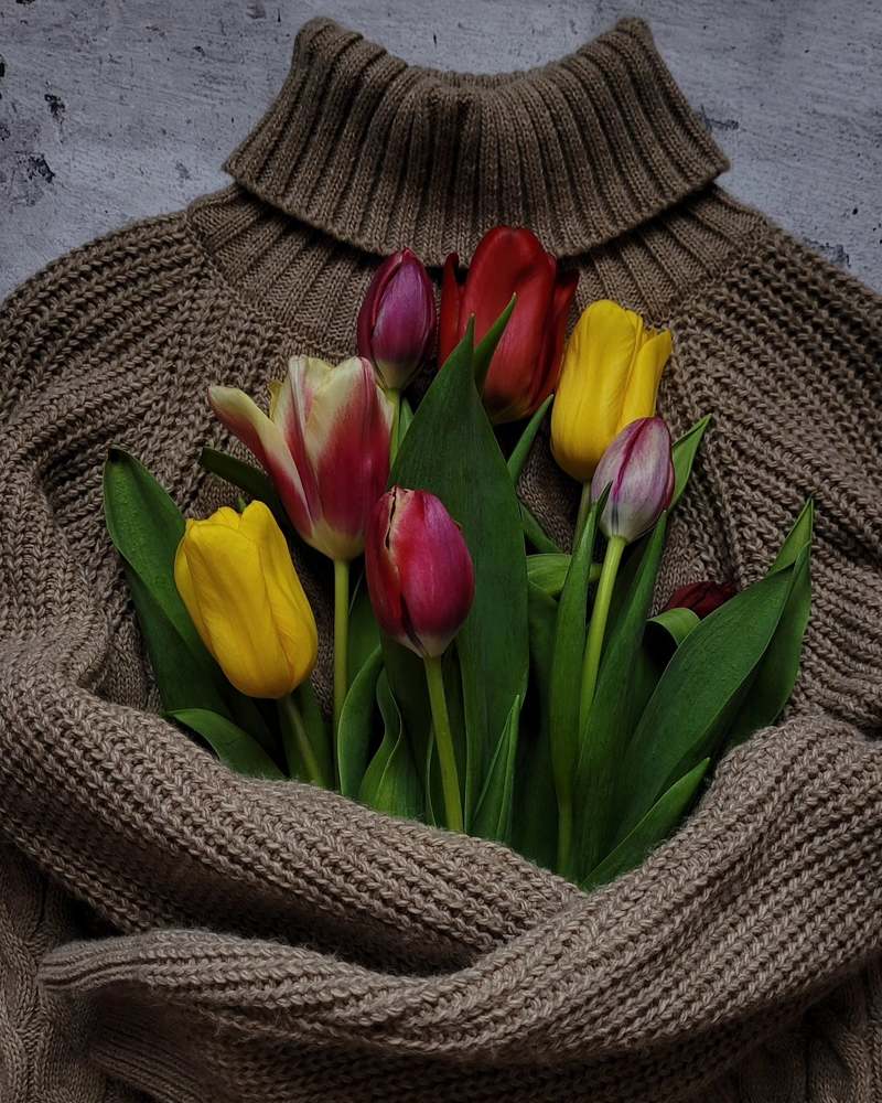 Photograph by Екатерина