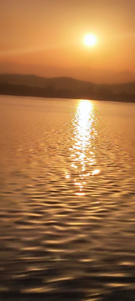 Photo #10520911