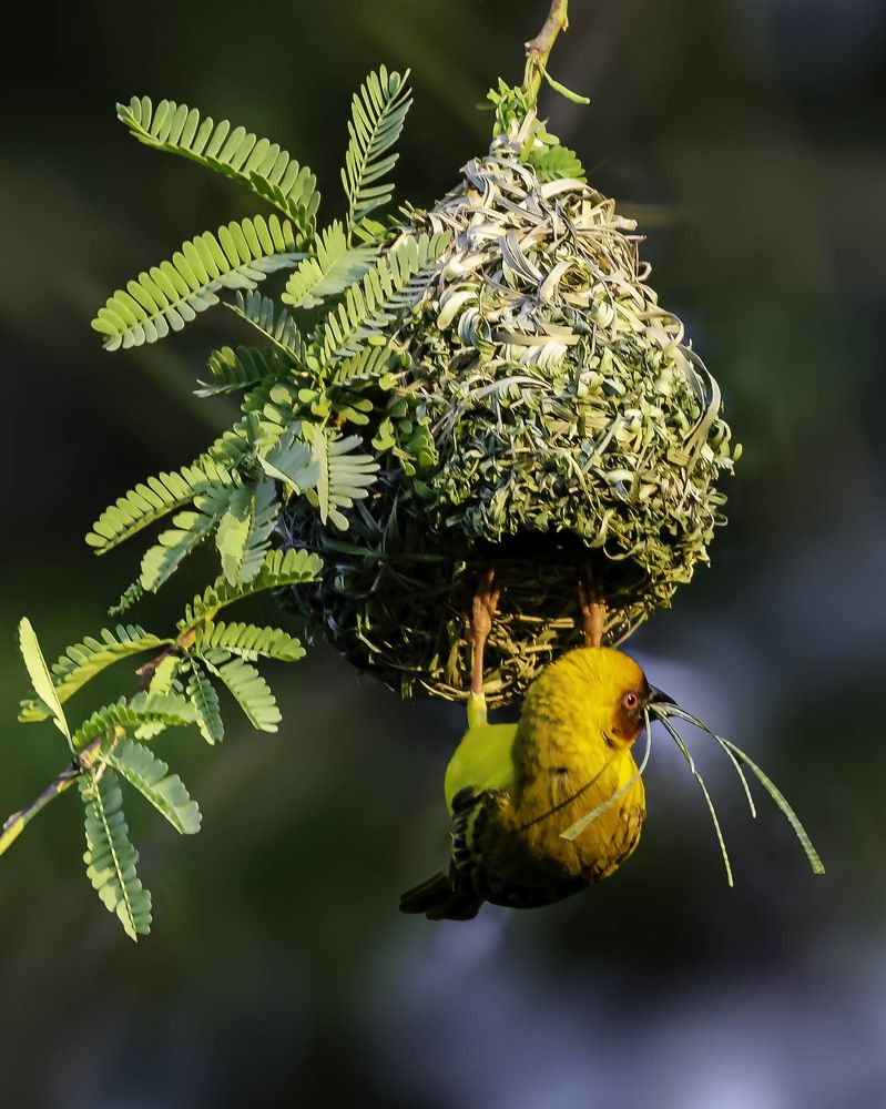 Фотография автора Renjith Kumar