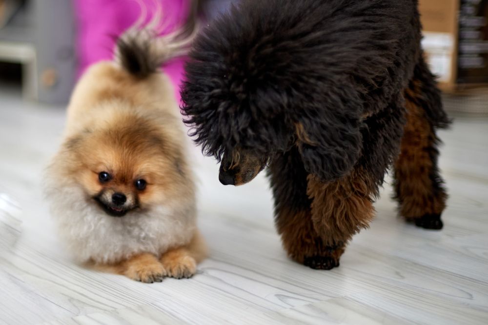 Photograph by Ирина Денисова