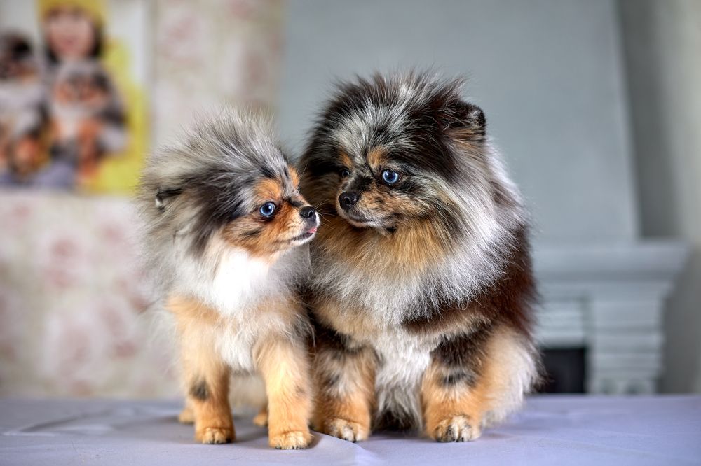 Photograph by Ирина Денисова