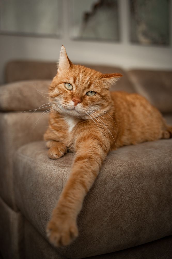 Photograph by Наталья Дунаевская