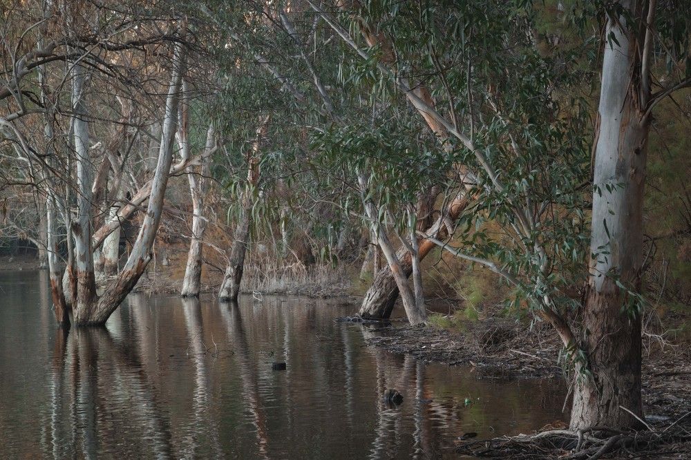 Photograph by Antonis Papaconstantinou