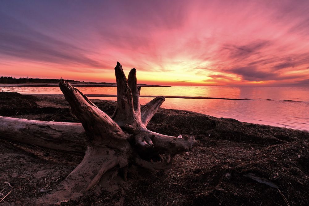 Photograph by Vitalijs Kopa