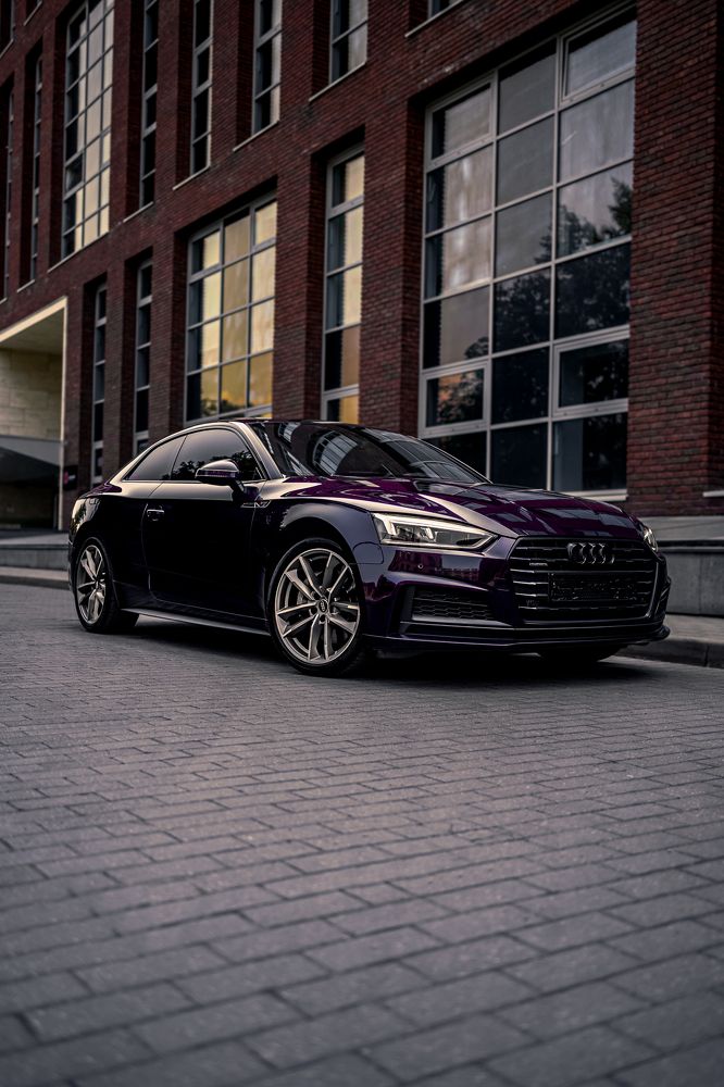 Фотография автора Никита Сагунов