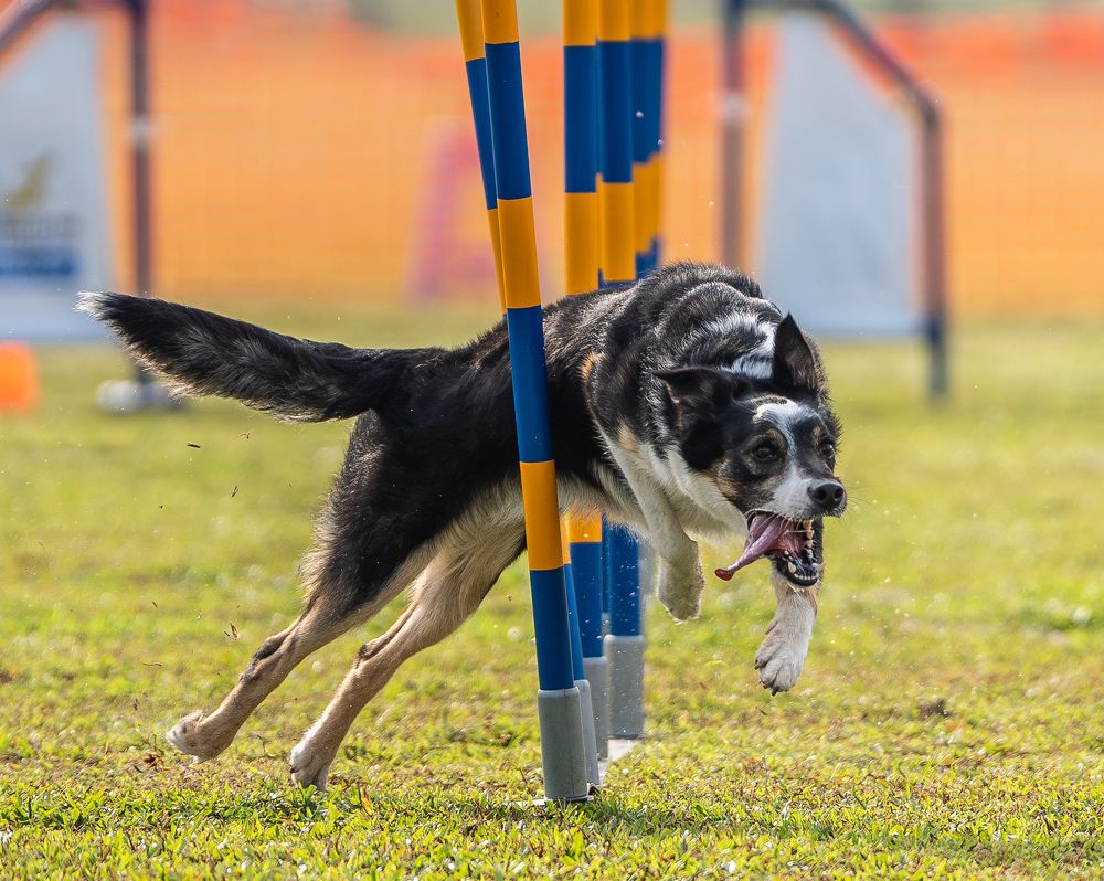 Photograph by keong fai yong