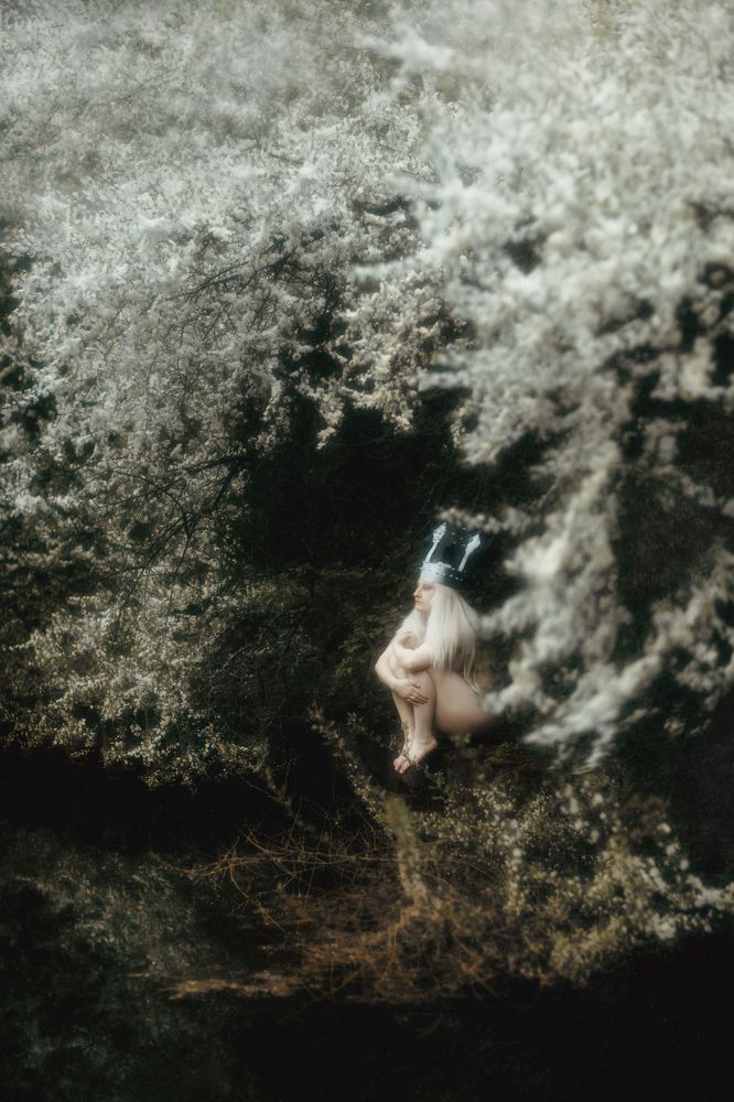 Photograph by Анна Провидение