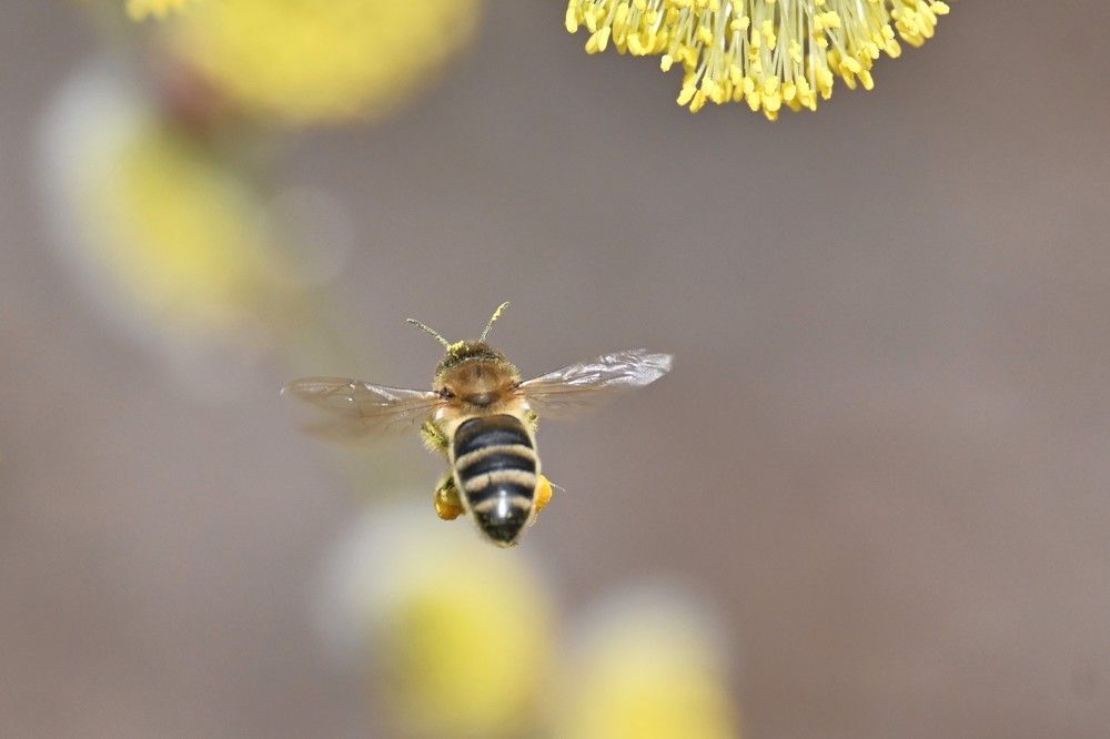 Фотография автора IRINA FILIPPOVA