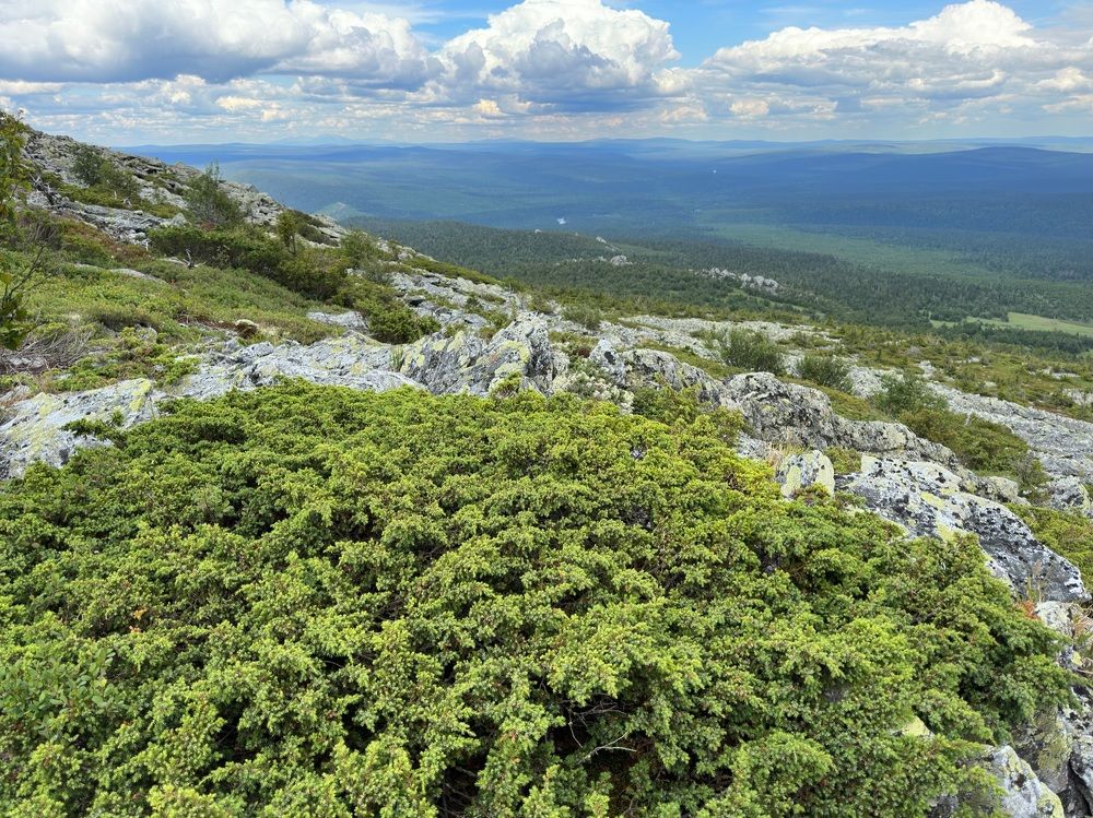 Photograph by Alice Vikernes