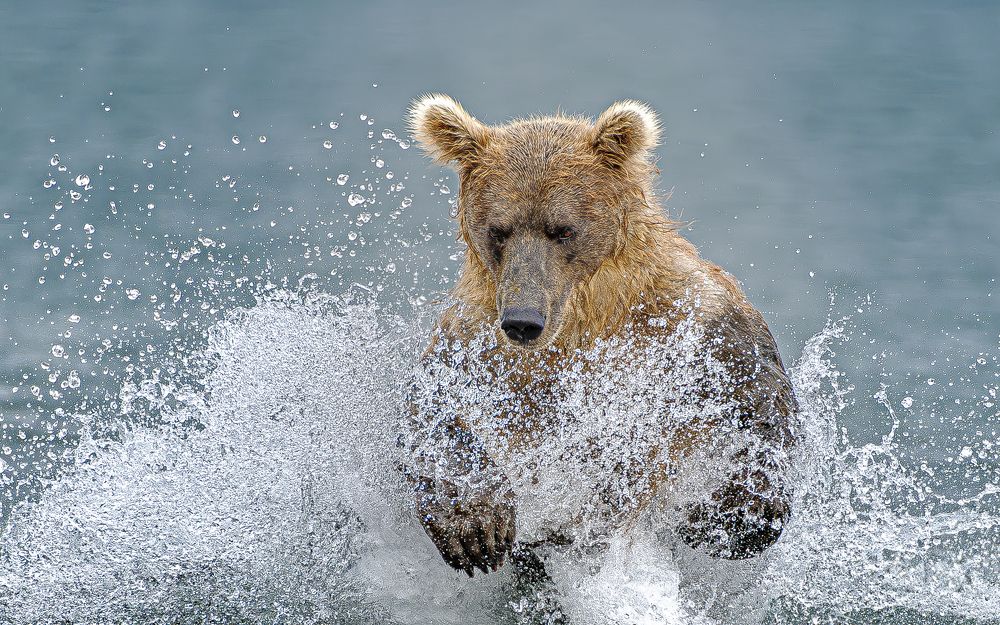 Photograph by Paolo Barbarini