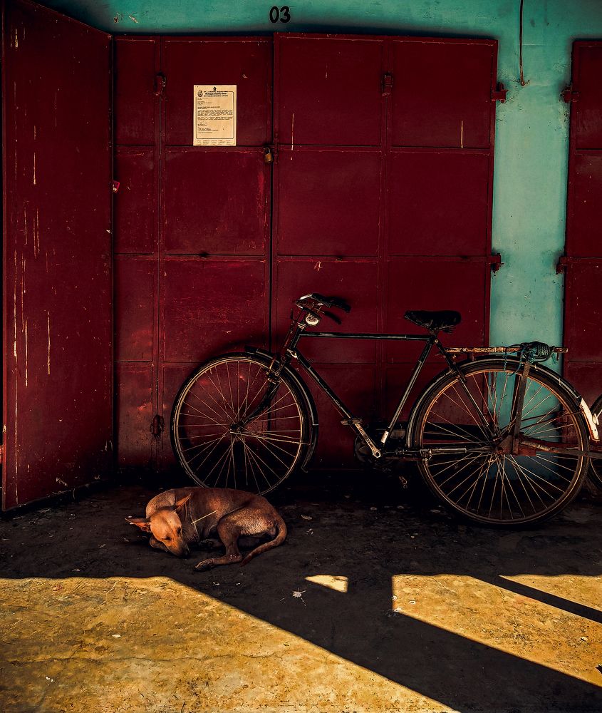 Photograph by Suthakaran Gokulananthan