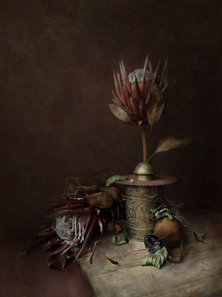 Photograph by Natalia Sopoćko