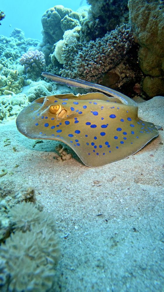 Photograph by Мария Берёзка