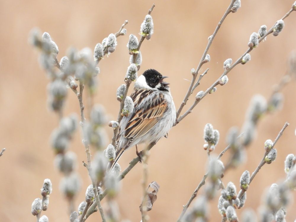 Photograph by Владимир Джерихов