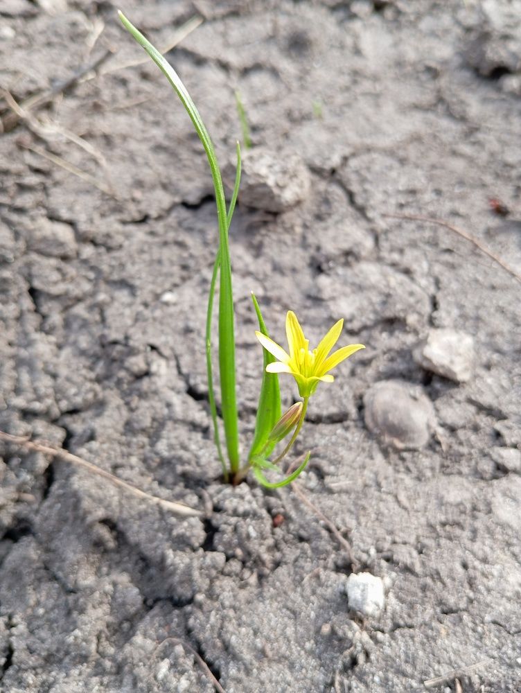 Photograph by Елена Коробченко