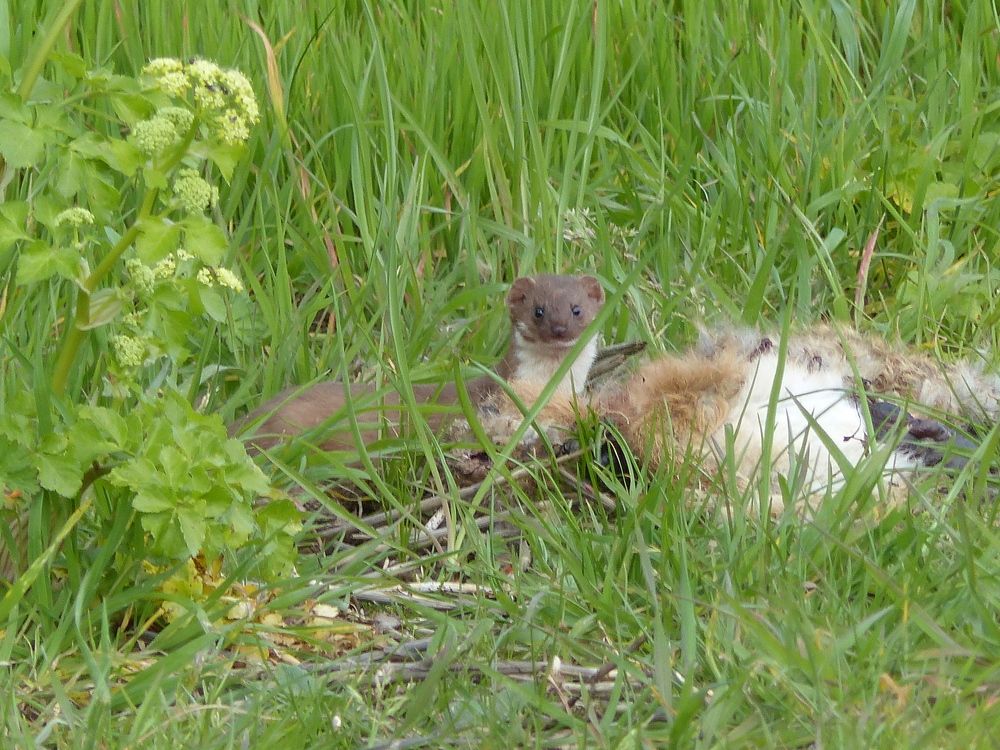 Photograph by Isabella Northrop