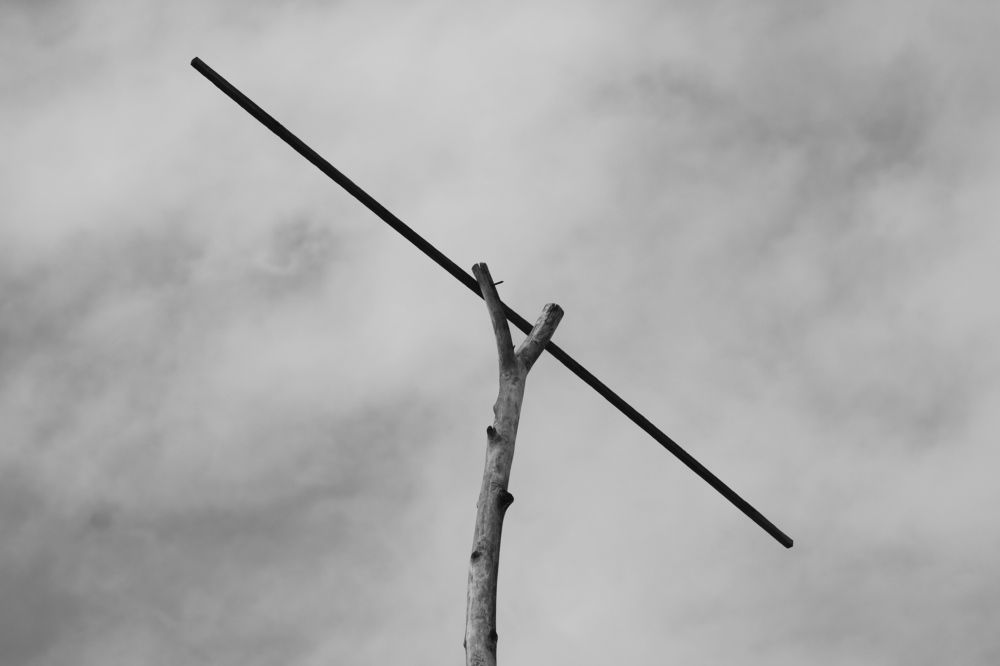Photograph by Алексей Макаров