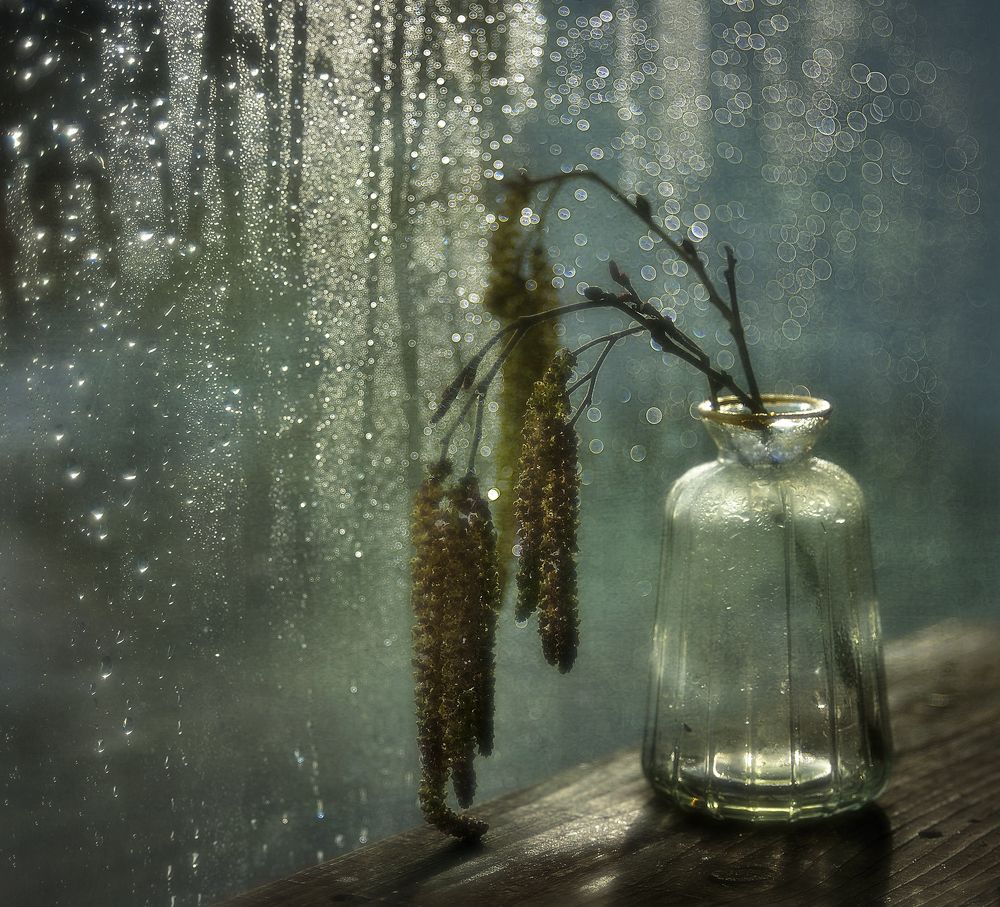 Photograph by Наталия К