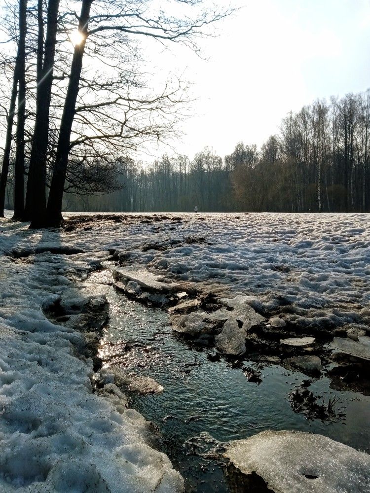 Photo #10522404