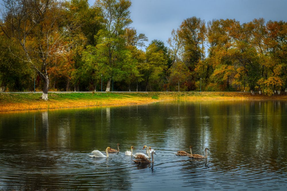 Photograph by Владимир Кваша