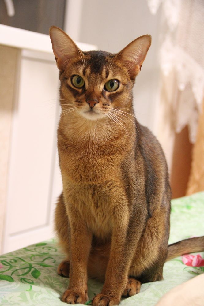 Photograph by Людмила Лапытова