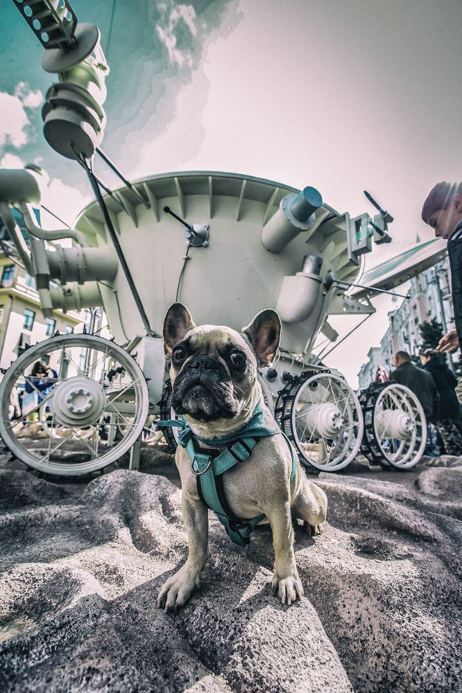 Photograph by Михаил Зильбер