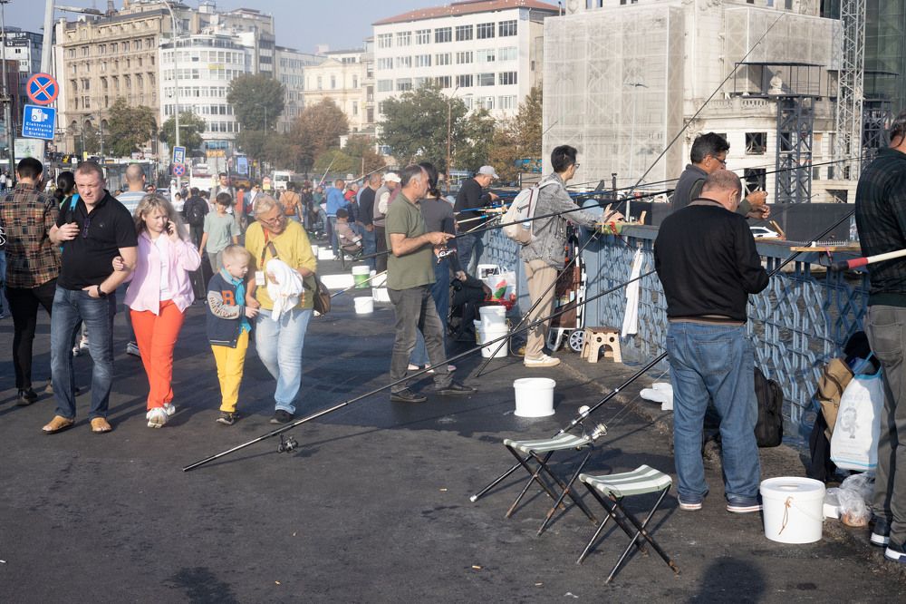 Photograph by Владимир Коровин