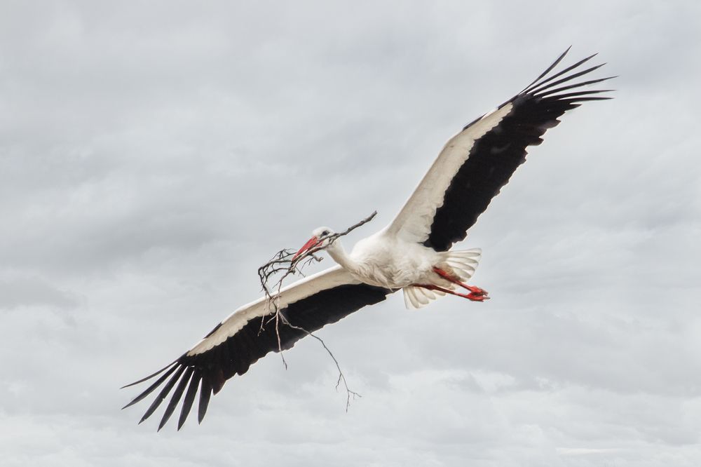 Photograph by Татьяна Семенова