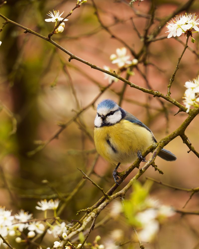Photograph by Ольга Войчишина