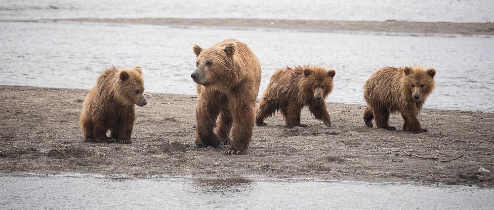 Photograph by Марина Маликова
