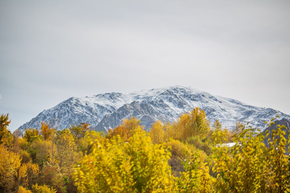 Autumn in Garam Chashma Valley