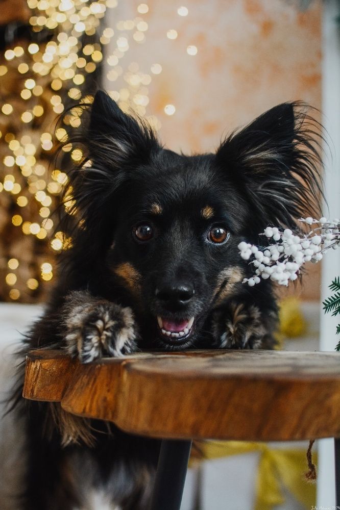 Photograph by Юлия Майорова