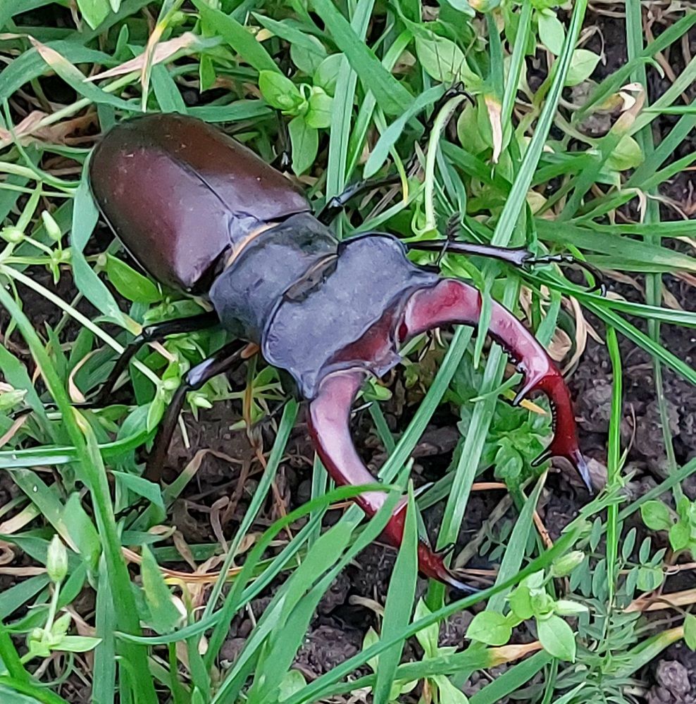 Фотография автора Lada