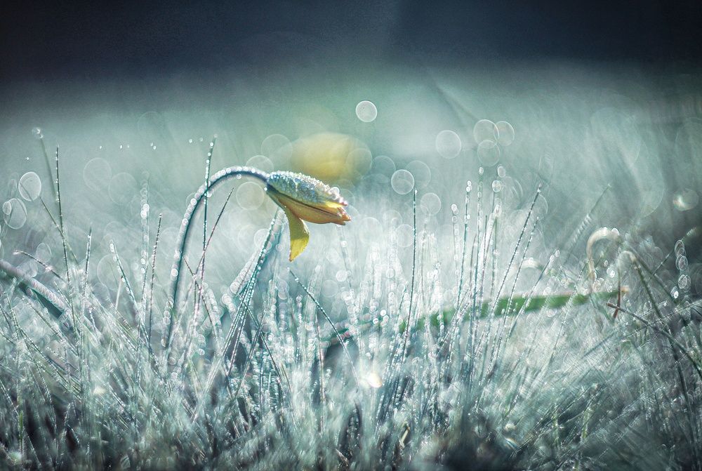 Photograph by Наталья Исиченко