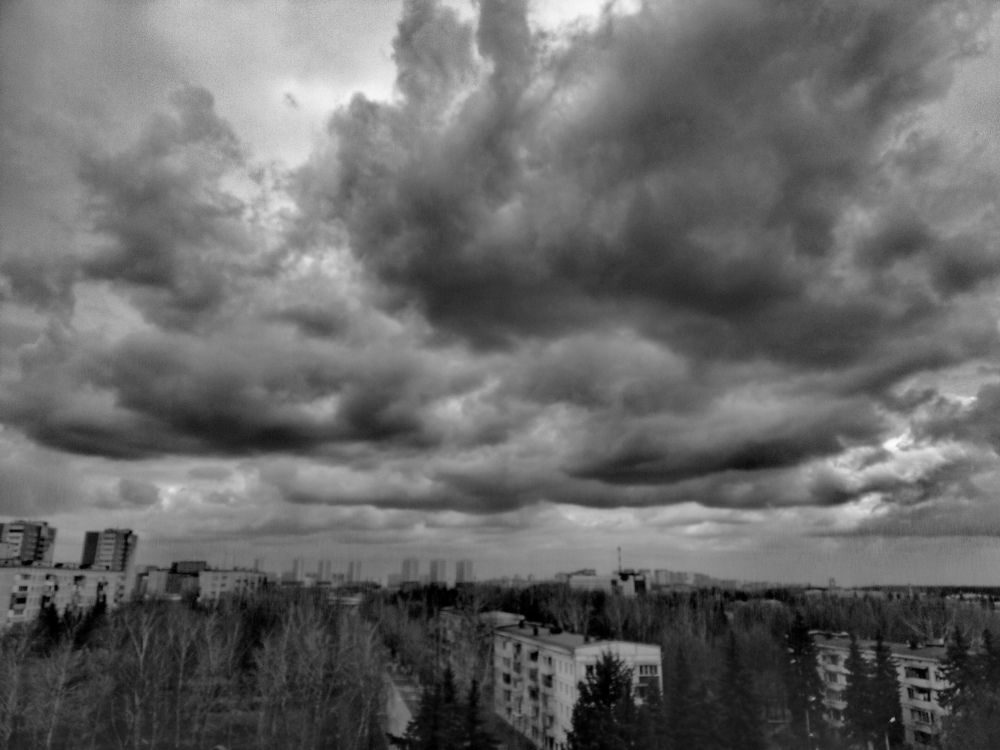 Photo #10523134