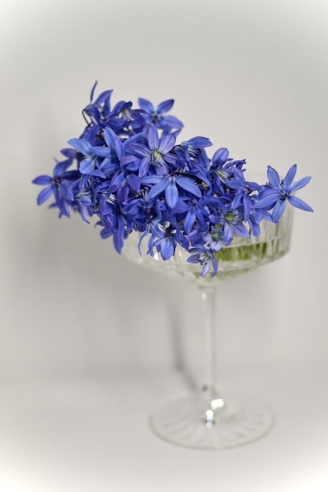 Photograph by Александра