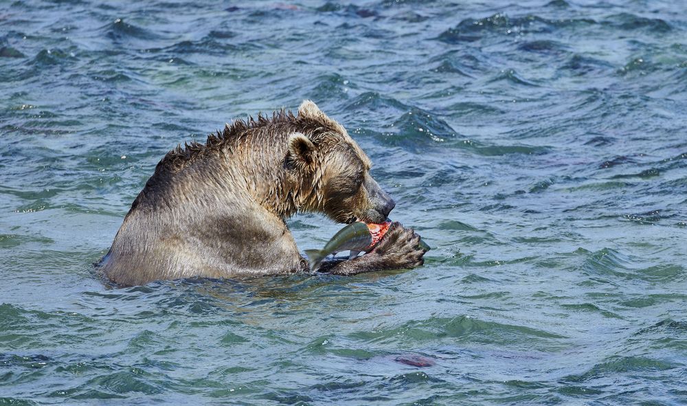 Фотография автора Юлия Белянцева