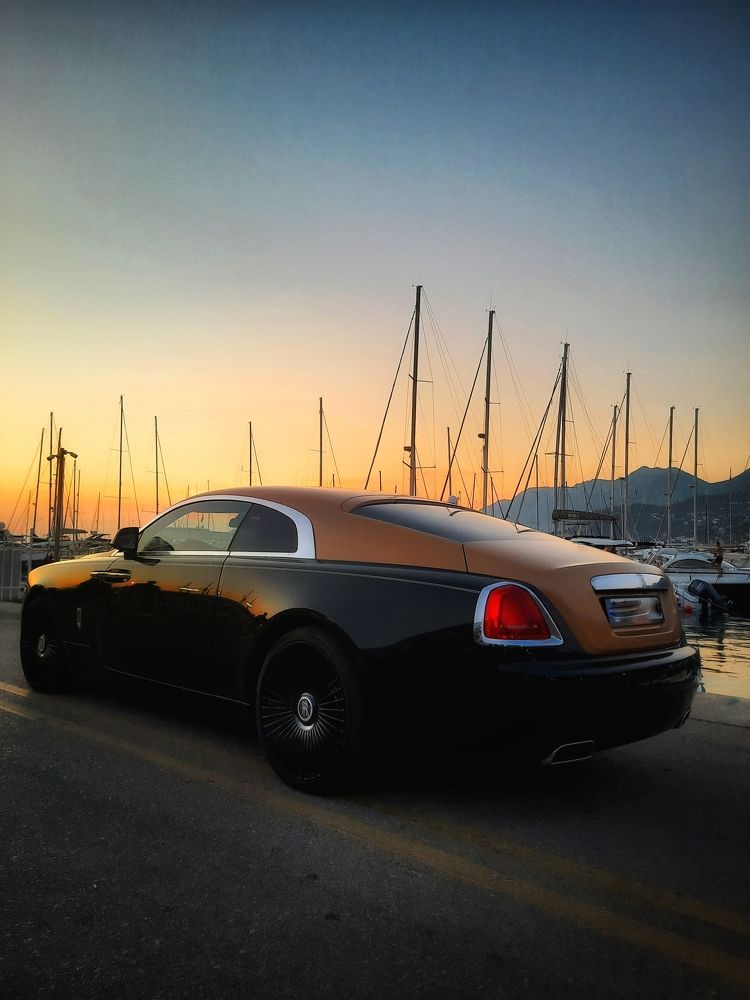 Фотография автора JELENA VASIC