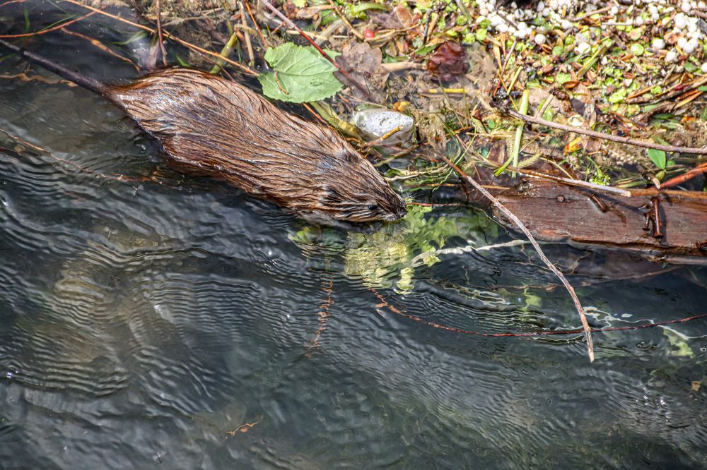 Photograph by Аня Косс