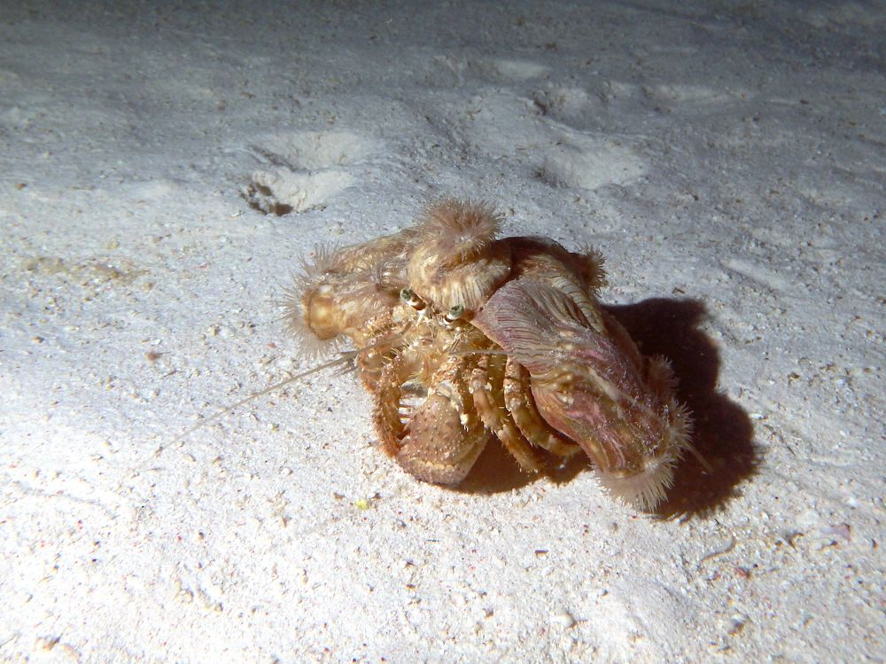 Photograph by DUBINA LEONID