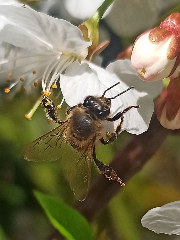 Photograph by Ольга Тихонова