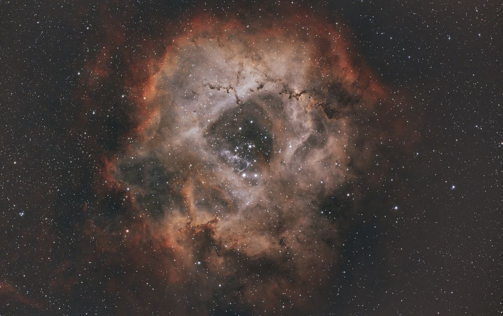 Фотография автора Алексей Лященко