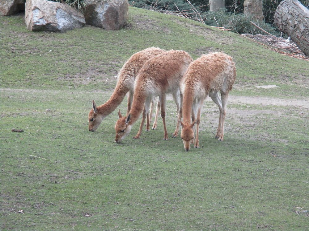 Фотография автора Lizuza