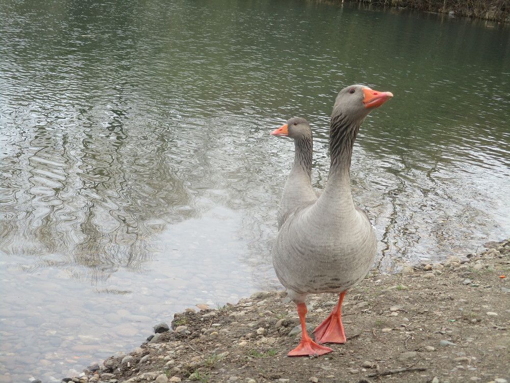 Фотография автора Lizuza