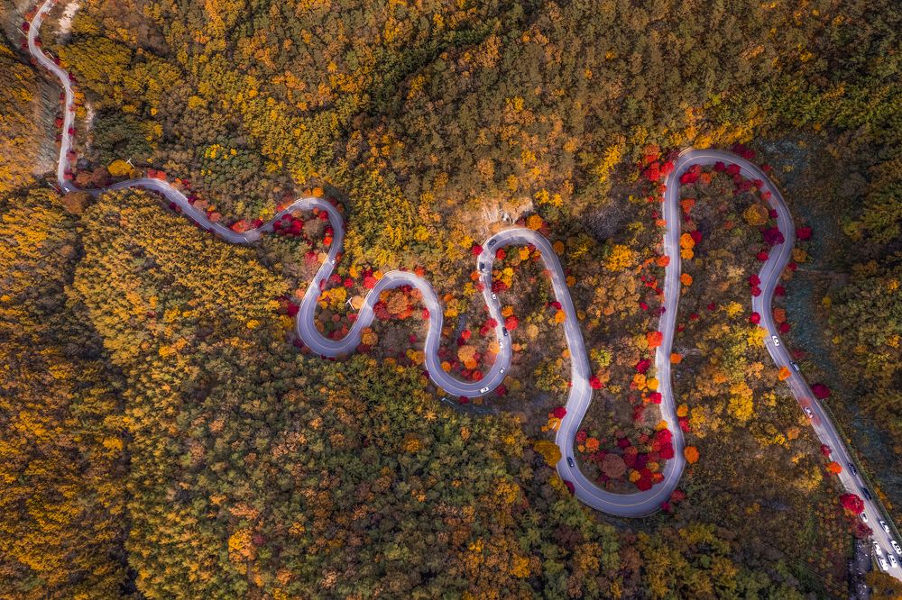 Фотография автора Tôi Là Núi