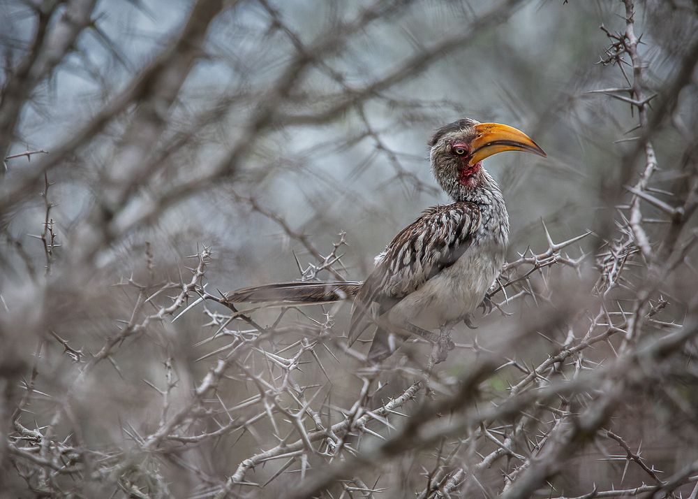 Photograph by Владимир Остапенко