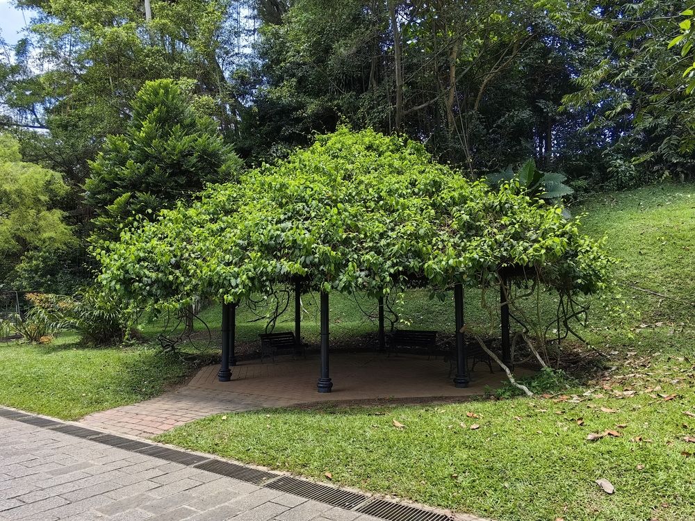 Photograph by Sumon Barman