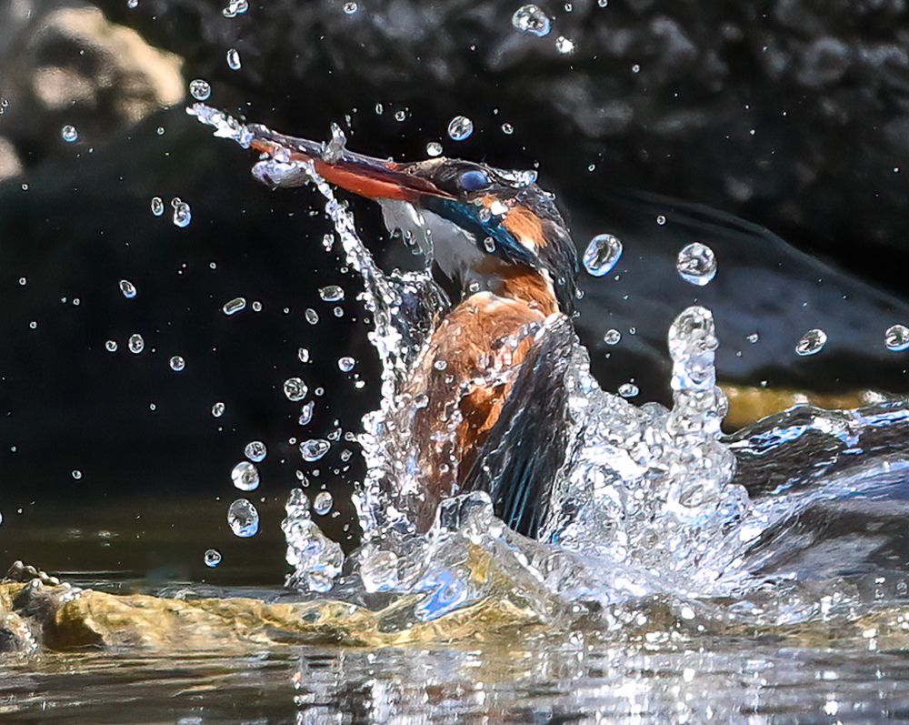 Фотография автора Mohammed sajd Abo ganem