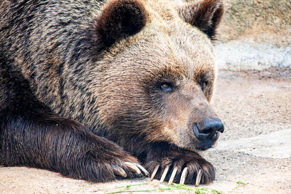 Photograph by Ivars Andrups