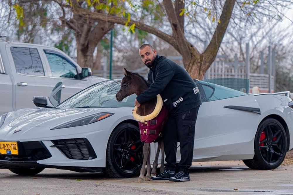 Фотография автора Mohammed sajd Abo ganem